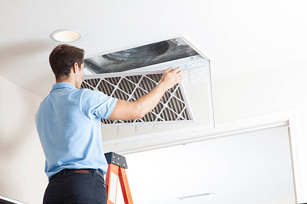 Best HVAC air duct cleaning  in Vley, AL